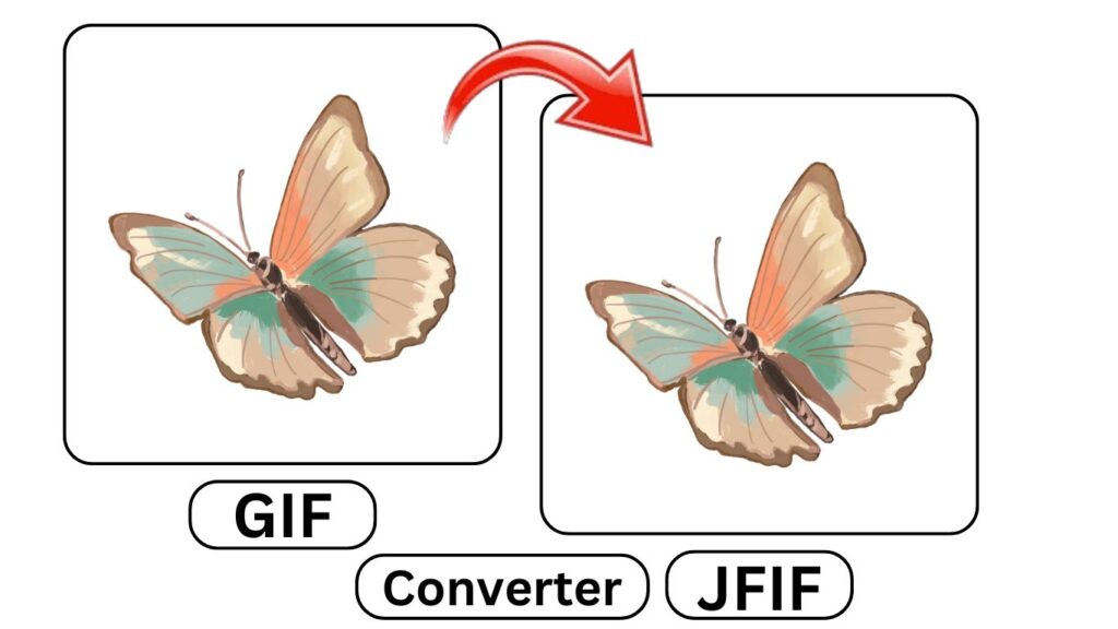 GIF to JFIF Converter